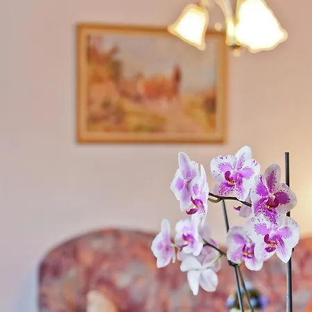 In The Thuringian Forest With Roof 아파트 *