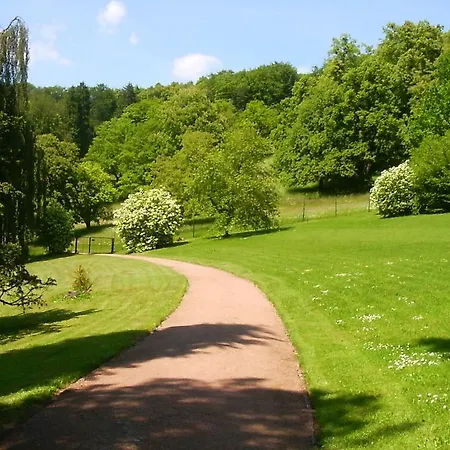 Lovely In The Thuringian Forest With Roof Terrace And Great View Apartment