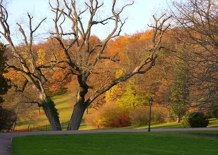 In The Thuringian Forest With Roof