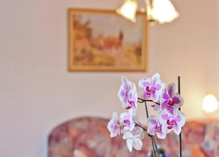 In The Thuringian Forest With Roof Daire *