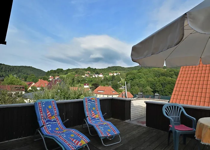 In The Thuringian Forest With Roof