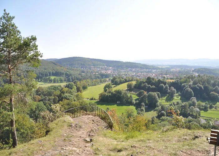 In The Thuringian Forest With Roof